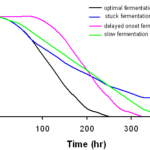 ferment_graph