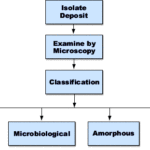 flowchart